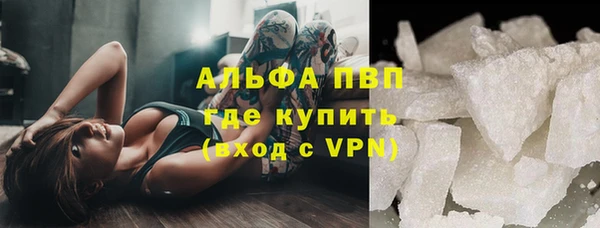 шишки Пересвет