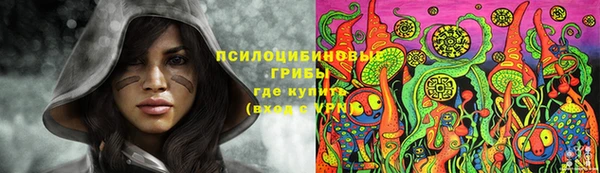 мет Белокуриха