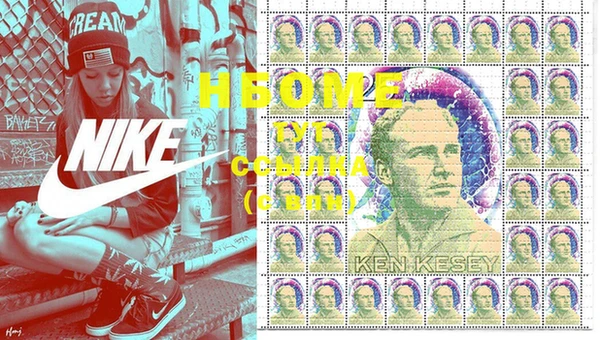 шишки Пересвет
