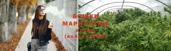 шишки Пересвет